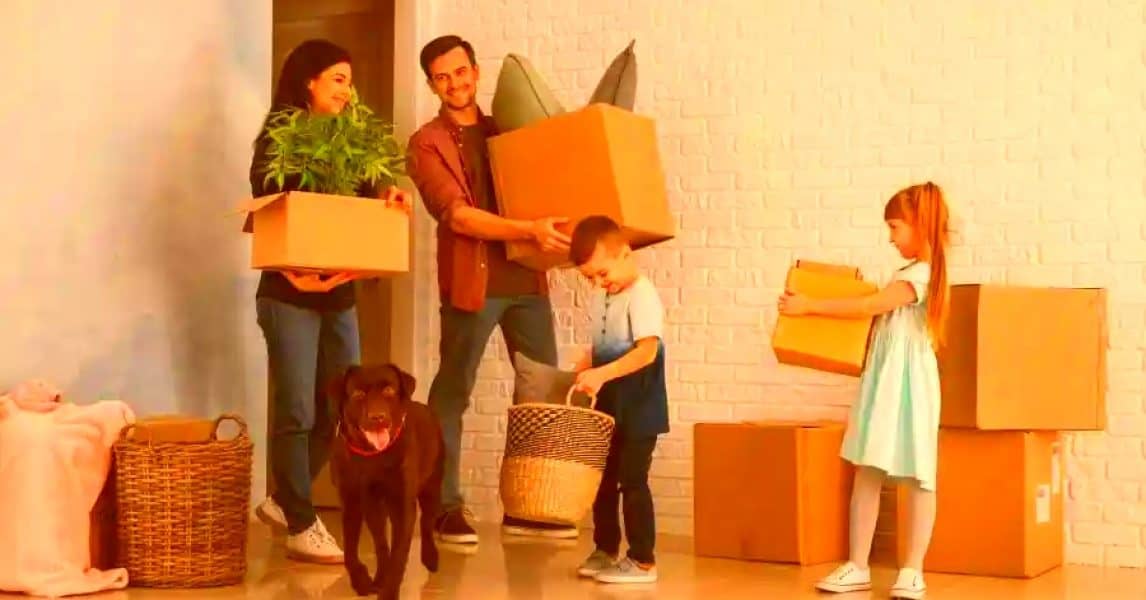 how to make moving with pets easier